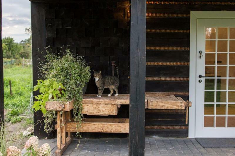 Chatka W Trawach Krakow Exterior photo